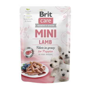 brit care comida humeda para cachorros