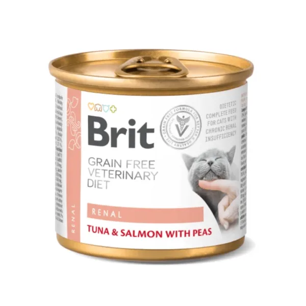 latas para gatos con problemas renales