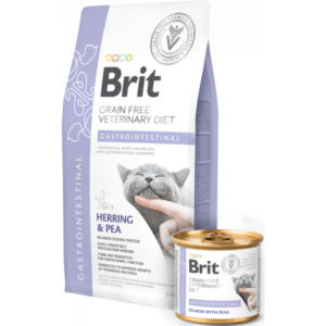 Pienso brit para gatos con problemas gastrointestinales