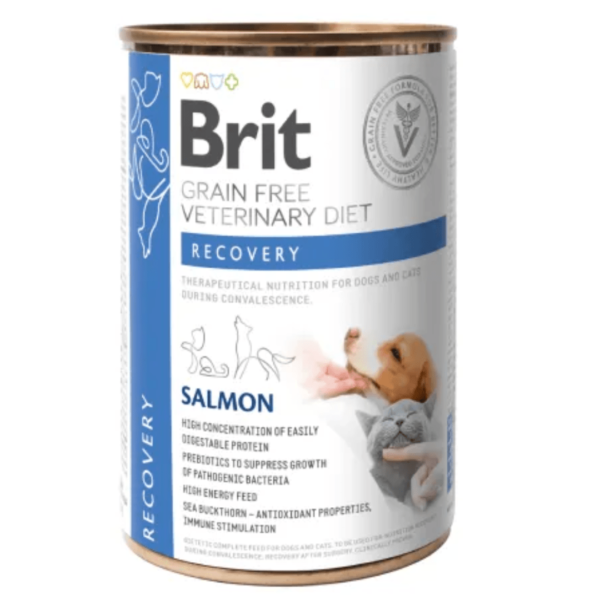 Brit latas recuperacion para perros y gatos