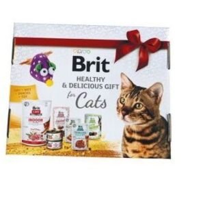 brit box navidad gato