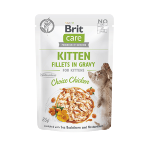 brit care comida humeda para gatitos