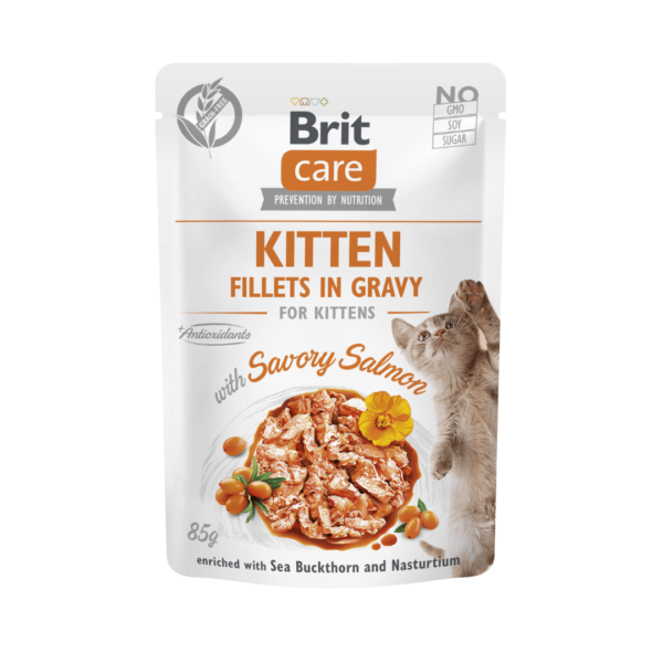 brit care comida humeda para gatitos salmon