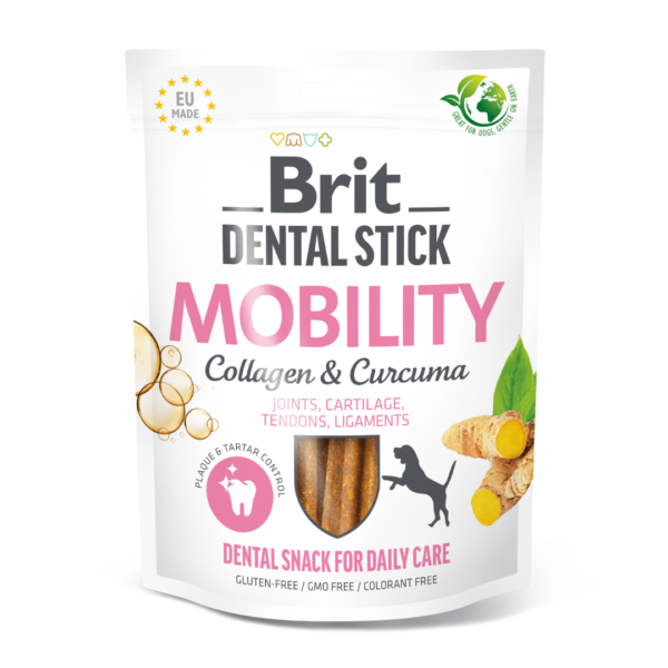 snack dental mobility