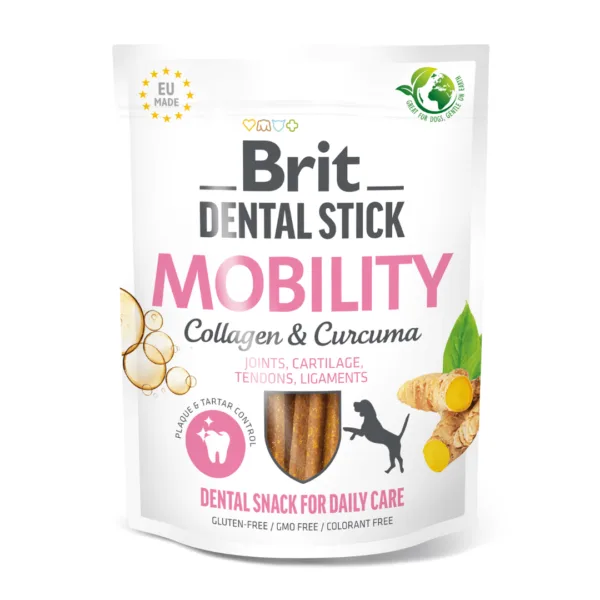 snack dental mobility