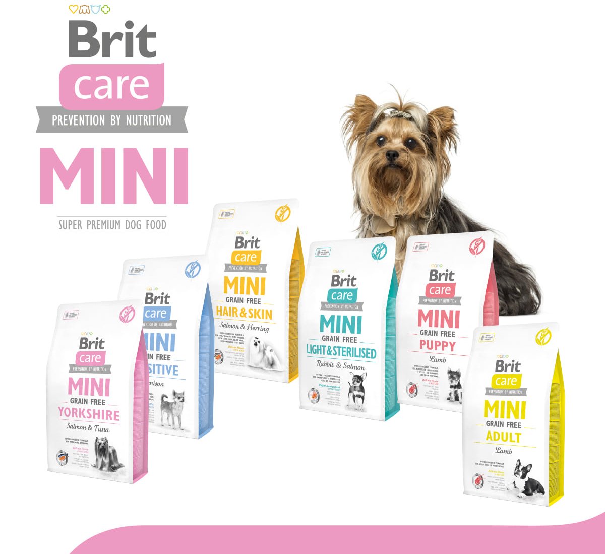 brit care mini