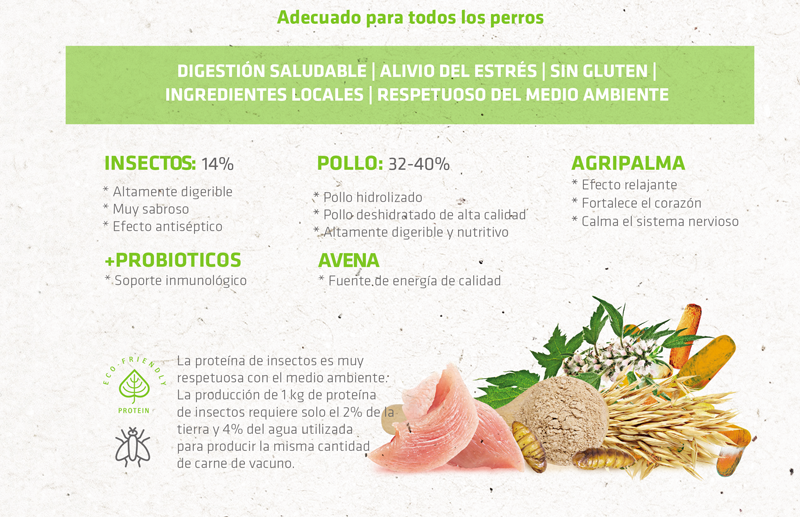 ingredientes pienso para perro con insecto