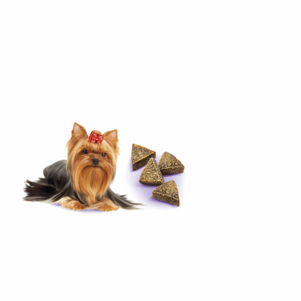 Brit Care Dog Mini treats Liver Detox