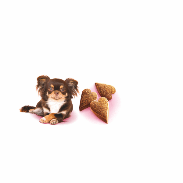 Brit Care Dog Mini treats Mood