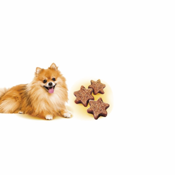 Brit Care Dog Mini treats Shine