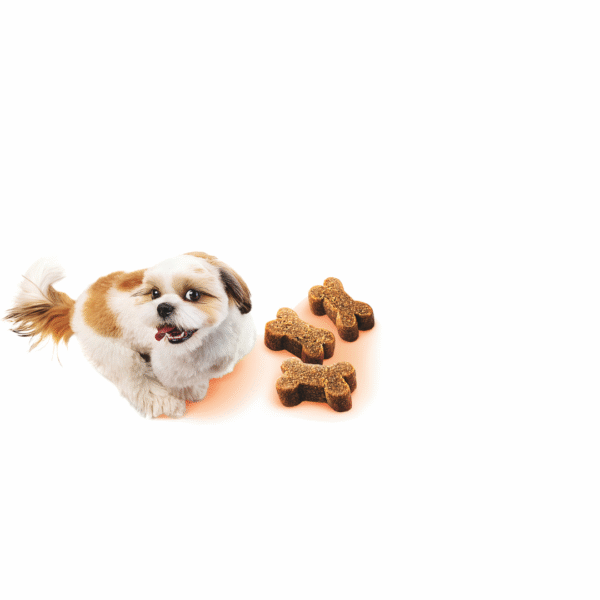 Brit Care Mini Snack Think 50gr