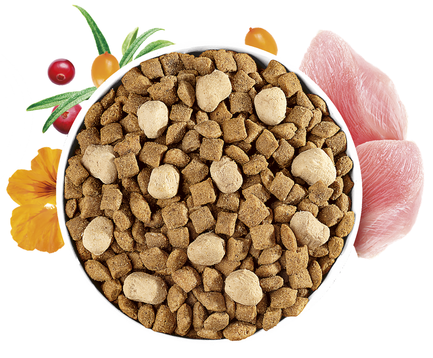 Brit Care Cat Raw Delights Sterilized