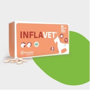 Inflavet producto para la salud articular