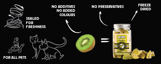 Snack Kiwi liofilizado de fruta Kiwi - Imagen 2