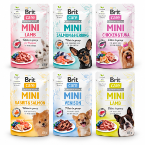brit_mini_sorpresa